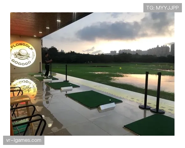 维拉公园球场因暴雨一度中断比赛15分钟